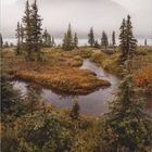 November-Kalenderblatt, darunter Daten und Feiertage. Neblige Berglandschaft mit Bäumen und Fluss. Geo-Logo unten.