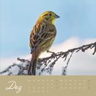 "Dez" und Monatskalender im unteren Bereich. Ein Vogel sitzt auf einem schneebedeckten Ast vor einem blauen Himmel.