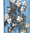 Kalenderblatt mit Illustration einer Hortensie, darunter Zahlen für den Monat November und Feiertage wie Allerheiligen und St. Martin.