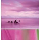 Kalender, Monat November 2021. Bilder: rosa Blattstruktur, ruhige See mit Pfosten, Detail einer rosa Blume.