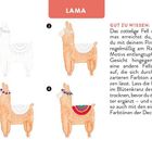 Text zeigt Schritte zur Gestaltung eines Lamas, beginnend mit skizzenhaften Umrissen bis hin zu detaillierten Farben.