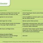 "Vogelnester" in grün. Links: Massagegeschichte mit Vogelbeschreibung. Rechts: Anweisungen für Handbewegungen.