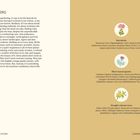 "Xeriscaping" erklärt langsames Gärtnern in trockenen Landschaften. Rechte Seite: Pflanzenkategorien wie Sukkulenten.