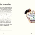 Titel: "Red-tailed mason bee"

Text beschreibt eine Biene, die in Schneckenschalen nistet.

Illustration: Biene auf einer Schneckenschale.