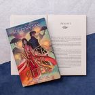 Cover: "NEVER EVER AFTER" von Sue Lynn Tan. Illustration zeigt zwei Personen vor Laternen; ein offenes Buch mit "PROLOGUE" sichtbar.