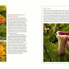 Seite 70: "Condolence Flowers Don’t Have to Be Sad." Seite 71: "Mini Lilies." Fotos von orange-gelben Blumen und einer Mini-Lilie.