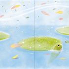 Text: "Oh dear." Eine sanfte, verträumte Illustration mit Seerosen, einer Schildkröte und bunten Blättern in der Luft.