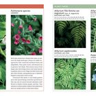 "INSTEAD OF THESE: Hosta species, Pulmonaria species. PLANT THESE: Athyrium filix-femina var. angustum, Athyrium asplenioides."