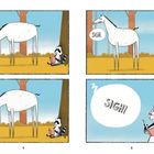 Links oben: "SIGH." Ein Pferd steht; rechts sitzt ein Waschbär mit Buch. Rechts oben: Dasselbe wiederholt sich. Unten links: wiederholt. Unten rechts: Waschbär mit großem "SIGH!".