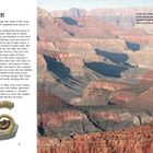 „DEEP TIME,“ gefolgt von Text über Geologie und Fossilien. Rechts Landschaft mit mehrfarbigen Gesteinsschichten.