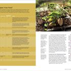 "Direct Sow or Transplant from Pots?" Vegetative propagation, tips for planting garlic and potatoes, with seedlings in earthy trays.
