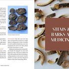 Links Anleitungen zur Pflanzenpflege und Verarbeitung. Rechts Holzscheiben und Schrift: "STEMS & BARKS AS MEDICINE".