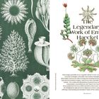 "The Legendary Work of Ernst Haeckel." Links verschiedene biologische Illustrationen auf grünem Hintergrund.