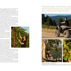 „Tasting these grapes was like listening to music. Instead of having three notes, it was a massive chord.“ 
Links: Text über Weinanbau. Rechts: Oben Frau auf Quad, unten drei Bilder: Frau prüft Reben, Trauben, Frau richtet Degustation ein.