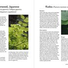 Links: Überschrift „Knotweed, Japanese“; Beschreibung zu Körbe, Aussehen und Verbreitung. Foto grüne Pflanze.

Rechts: Überschrift „Kudzu“; Beschreibung zu Körbe, Aussehen und Verbreitung. Foto mit weißen Blüten.
