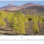 "Boca Tauce", "CASARES EDITION", Juni Kalender. Landschaft mit Bergen im Hintergrund und Kiefern im Vordergrund.