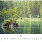 Zahlen 1 bis 30 und eine 6 heben sich hervor. Ein Baum wächst auf einem kleinen Felsen im klaren Wasser vor Wald.