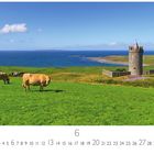 Text: "Doonagore Castle", "6", "CASARES EDITION". Kühe weiden auf grüner Wiese, im Hintergrund ein runder Turm und das Meer.