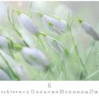 Nummern von 1 bis 30, der Monat 6. Zarte Schneeglöckchen mit grünen Stielen auf unscharfem, pastellfarbenem Hintergrund.