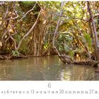 Markierungen 1–30, Zahl 6 hervorgehoben. Üppiger, dichter Dschungel mit Wasserlauf, von Bäumen gesäumt.
