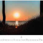 "Sonnenuntergang am Strand". Kalender für Juni. Silhouetten von Gräsern und Bäumen vor einem sonnenbeschienenen Meer.