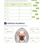 Texte zu bestimmten Artikeln und Körperteilen, daneben Hundekopf in silbernem Rahmen, Pastellgrün als Hintergrund.