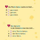 Hufeisen-Quiz mit zwei Fragen, Auswahlkästchen und dekorativen Sternen und Hufeisen-Elementen auf gelbem Hintergrund.