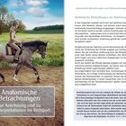 Kapitel 6. Anatomische Betrachtungen zur Anlehnung und zu Fehlinterpretationen im Reitsport. Person auf Pferd im Freien.
