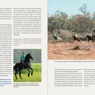 Teil 1: Anleitung zum sensiblen Reiten. Bildbeschreibung: Reiter auf Pferden fliehen vor einem Elefanten. Lächelnde Reiterin springt mit Pferd.