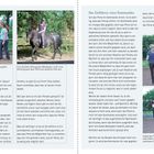 "So lernen Pferde" und "Das Einführen eines Kommandos" sind Überschriften. Enthält Fotos von Menschen, die Pferde führen.