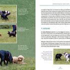 Texte: „Der schwarze Hund möchte nicht mehr beschnüffelt werden...“, „Deeskalation des braunen Hundes...“, „Der Pudel hat eine Ressource...“. Die Seite zeigt mehrere Hunde in einer Wiese.
