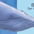Text: "BLAU Der blaue Wal". Illustration eines blauen Wals im Wasser.