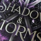 „SHADOW & STORMS“ in großen, glänzenden Buchstaben. Darunter ein Schild mit Schwertern und lilafarbenen Blitzen.