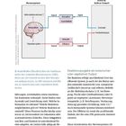 Seite 12, Neuroathletik Grundlagen. Diagramm zeigt Nervensystemfunktionen: Reizaufnahme, Integration, Signalweitergabe.