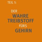 Teil 1: Der wahre Treibstoff fürs Gehirn. Hintergrund in kräftigem Orange.