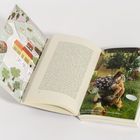 Links eine Illustration mit Texten: "Das Haus im...", "Kühe", "Schaf" und mehr. Rechts eine Frau mit Hühnern im Garten.