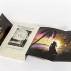 Text: „Vom Fischermädchen zur Königin eines Tee-Imperiums – opulent, sinnlich, farbenfroh.” Illustration: Frau am Strand bei Sonnenuntergang, Palmen.