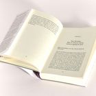 Kapitelüberschrift: "Das Mindset: Wie im Silicon Valley wirklich gedacht wird." Geöffnetes Buch, weiße Seiten.