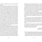 Auf den Seiten 12 und 13 wird über innere Stärke, Disziplin, Geduld und Weisheiten aus Kung Fu gesprochen.