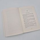 Seite 297, Kapitel 22. Text über eine Unterhaltung in Irland, Gegenwart. Offenes Buch auf hellem Hintergrund.