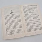 Seite 298 und 299 eines Buches. Kapitel 20 beginnt. Text handelt von Beekes emotionalen Konflikten und Entscheidungen.