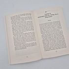 Kapitel 16: Kettensprengen für Adelige, die es nötig haben. Seiten 196 und 197 eines geöffneten Buches mit fortlaufendem Text.