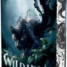 "WILD HEART Der Jaguar erwacht" von Mathias Siebel. Ein Jaguar in mystischer Dschungelkulisse.