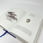 Text: "Knutt, Calidris canutus. WINTER. DÄMMERUNG." Illustration von drei Vögeln am Strand und einem Vogelei.