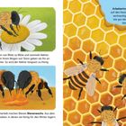 Honigbienen sammeln Nektar und machen Bienenwachs. Arbeiterinnen leben auf sechseckigen Honigwaben. Illustrationen zeigen Bienen beim Sammeln.