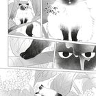 Text: "Platsch". Eine feuchte Katze auf Ästen zwischen Blättern. Nahaufnahmen ihrer Pfote und Augen.