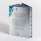 "Wilderland - Das Meer": Jugendliche mit Geheimnissen, Gefahr von CIA und Sam Garcia. Band 3 von Gina Mayer. Blaues Design.