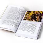 Prächtig bemalte Wände und Decken von Kirchen vermitteln die Geschichten der Bibel. Der „Bamberger Reiter“ vor dem Dom.