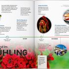 "Neuseeland im FRÜHLING" steht über roten Blumen. Events: Winter Games, Nelson Arts Festival. Bilder: Skifahrer, Sängerin, Essen.