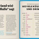 "Wie du im Zug ein Gespräch anfängst" mit Tipps wie: Grimassenwettbewerb, nach Sehenswürdigkeiten fragen, Ortsnamen erkunden. Illustration mit Menschen in einem Zug, die sich an Haltegriffen festhalten.